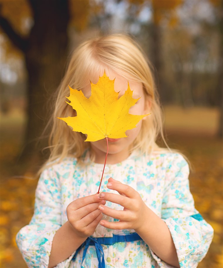 允许 your child to find the biggest leaf she can, then hide her face behind it is one of Wilkerson's suggestions for interesting leaf pile photos.