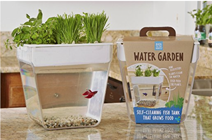 cool mothers day gifts fish tank