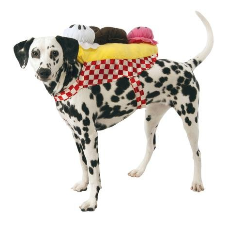 Eis cream dog Halloween costume