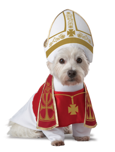 Papst dog Halloween costume