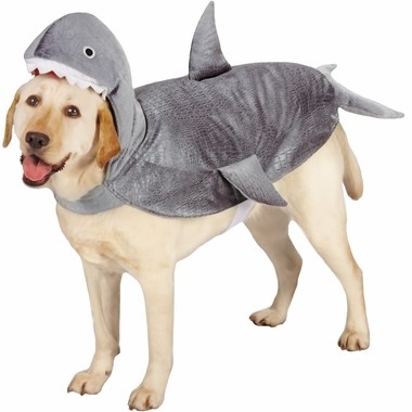 акула dog Halloween costume