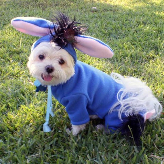 I-Ah, dog Halloween costume