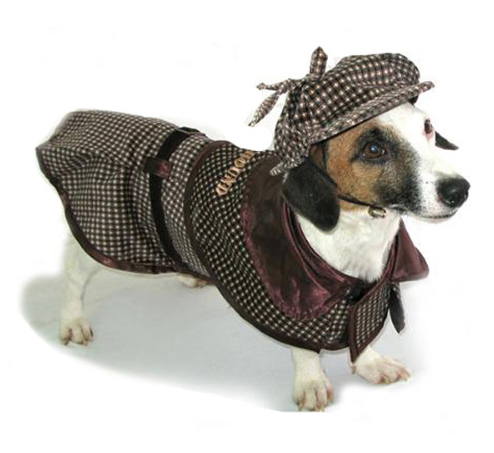 Шерлок Holmes dog Halloween costume
