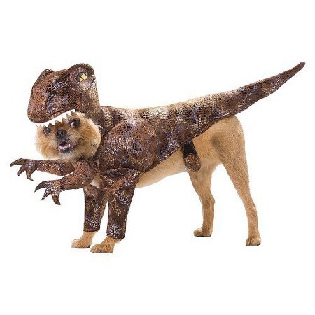 динозавър dog Halloween costume