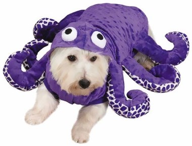 Tintenfisch dog Halloween costume