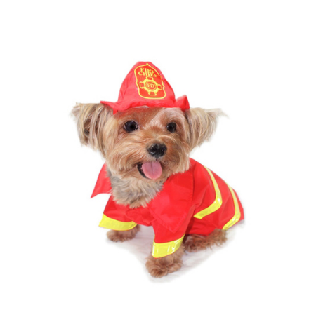 Feuerwehrmann dog Halloween costume
