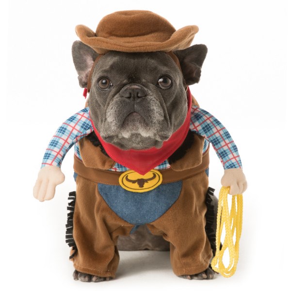 Cowboy dog Halloween costume