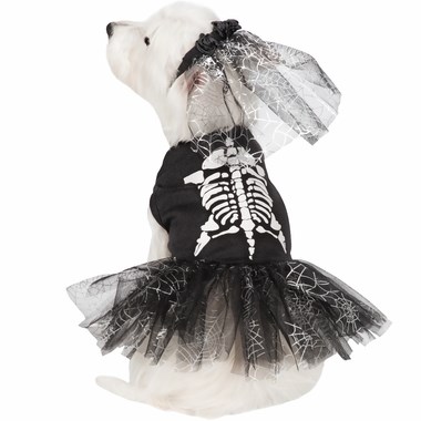 скелет dog Halloween costume