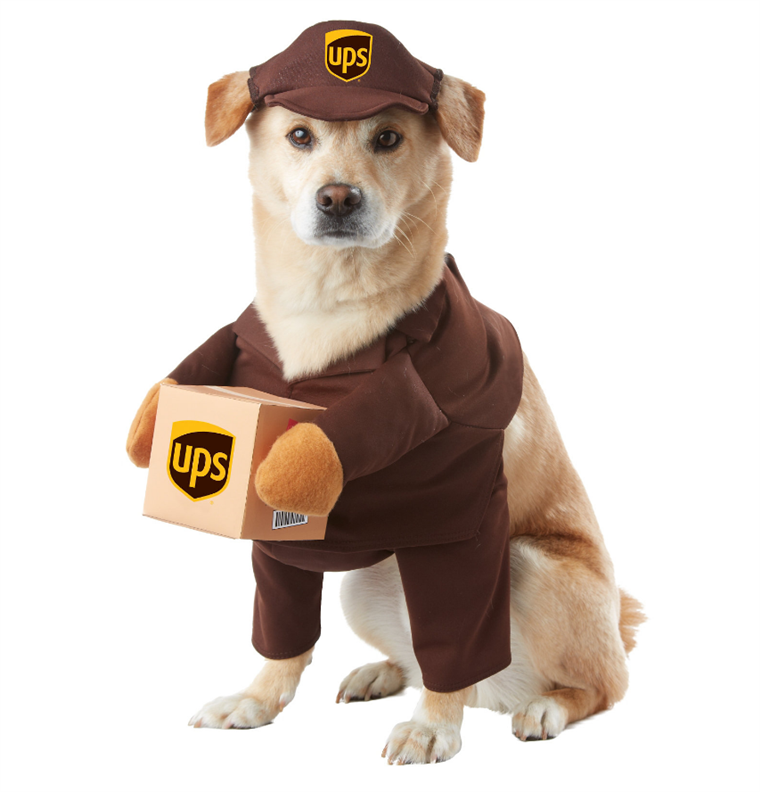 UPS dog Halloween costume