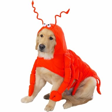 Hummer dog Halloween costume
