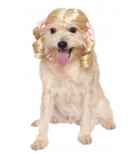 Blond wig dog Halloween costume