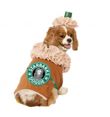 Starbucks dog Halloween costume