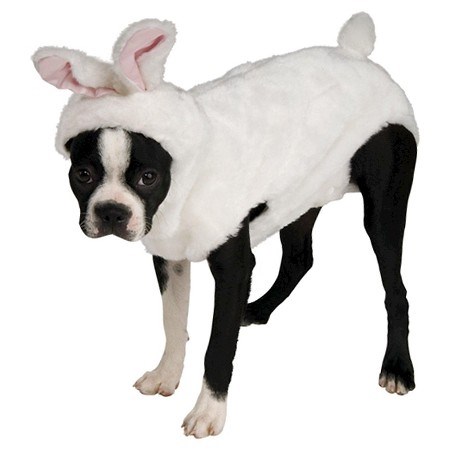 Hase dog Halloween costume