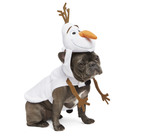 Olaf dog Halloween costume