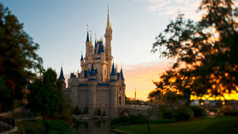 магия Kingdom: Disney World