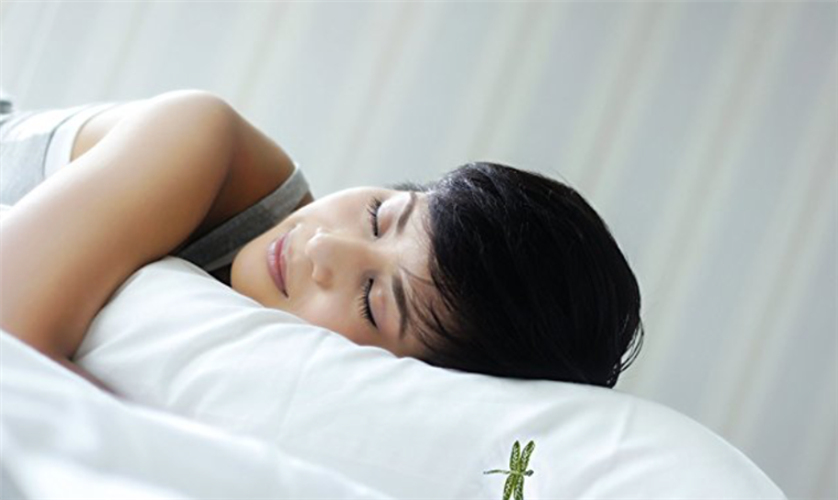 Dreampad Sleep Pillow
