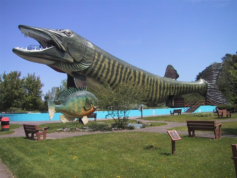 图片： The National Fresh Water Fishing Hall of Fame is housed inside a giant steel, concrete and fiberglass fish. 