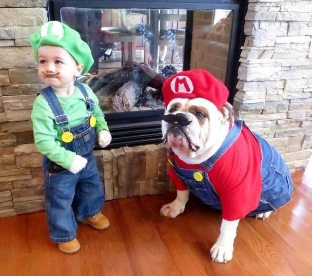 Mario and Luigi Halloween Costume