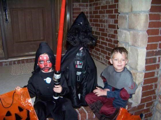 达斯 Vader halloween costume for pets: dog and cat costumes