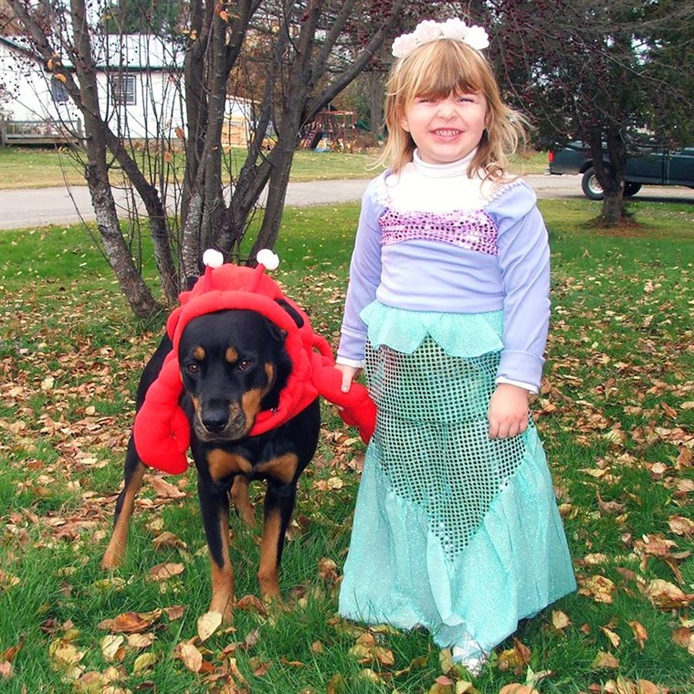 Ariel and Sebastian Kids Costume
