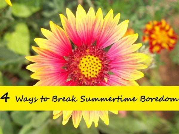博士 Trevicia Williams' four tips for banishing summer boredom