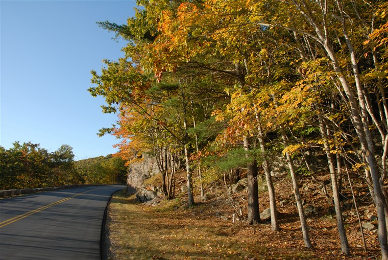 Oktober sunlight along the Loop Road in Acadia