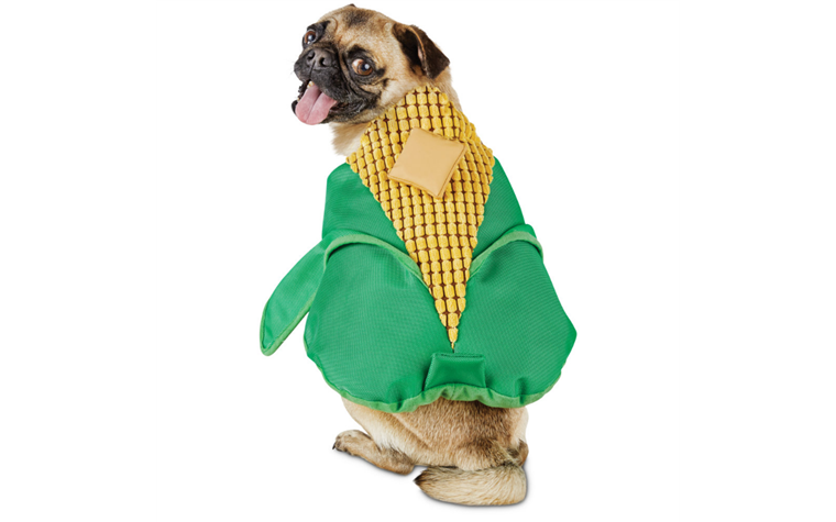 царевица on the Cob Dog Costume
