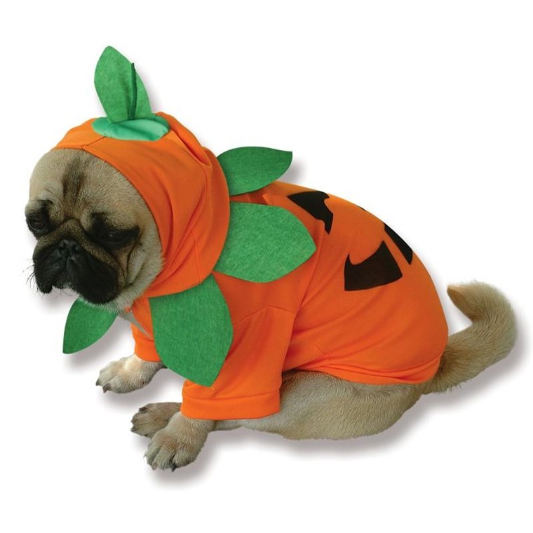 Dýně Dog Costume