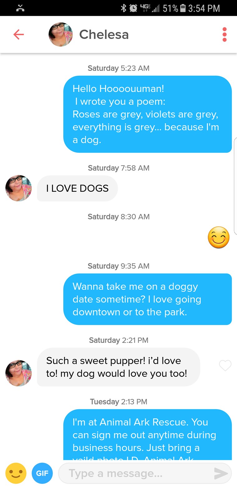 Tier shelter puts dog on Tinder to help him get adopted.