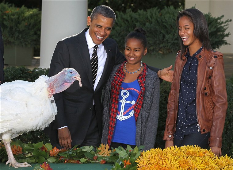 Obraz: President Obama Pardons Thanksgiving Turkey At White House
