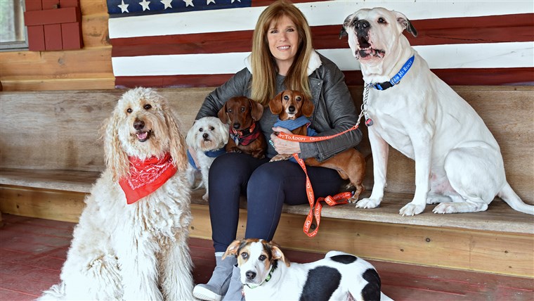 吉尔 Rappaport with her six rescued dogs