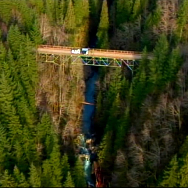 图片： bungee jumping bridge