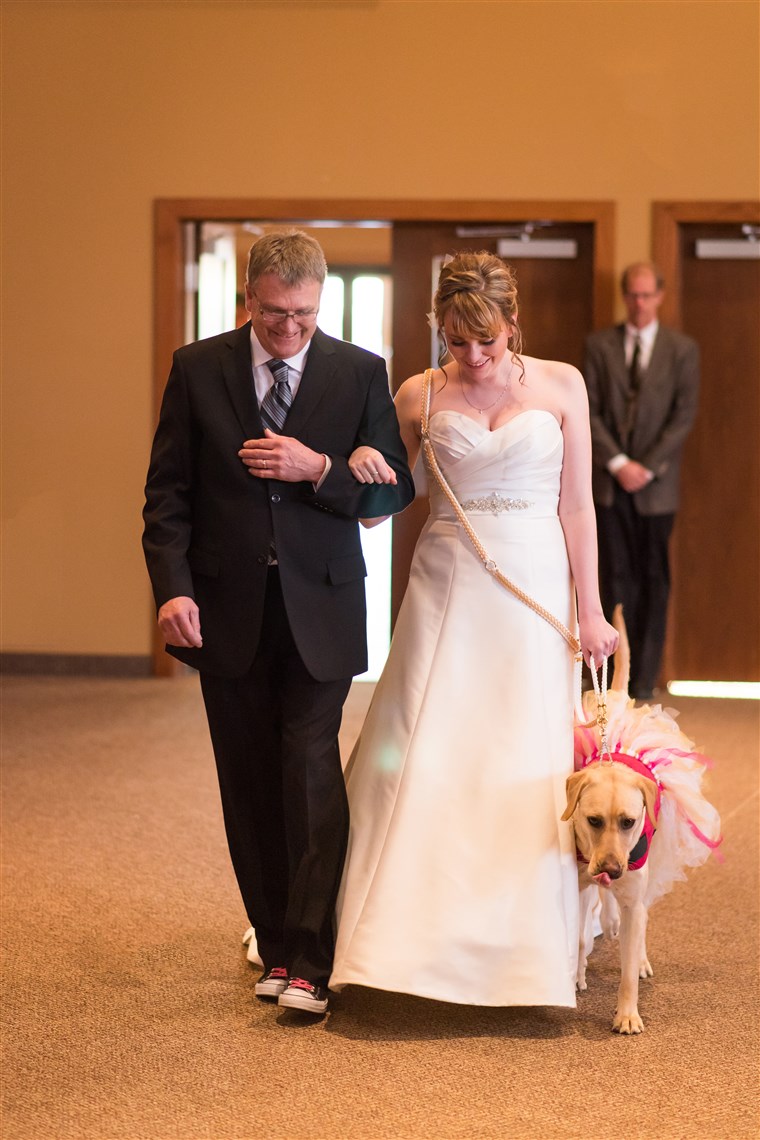 غير شامل: Service dog Bella calms down bride on wedding day