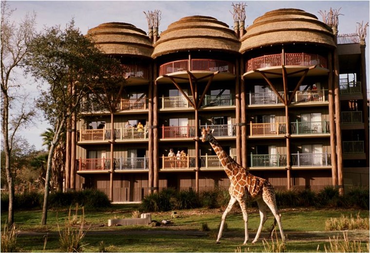 الأفضل US family hotels: Disney's Animal Kingdom