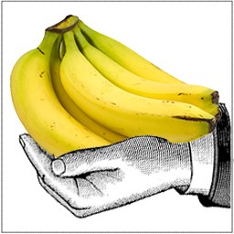 Händler Joe's Bananas