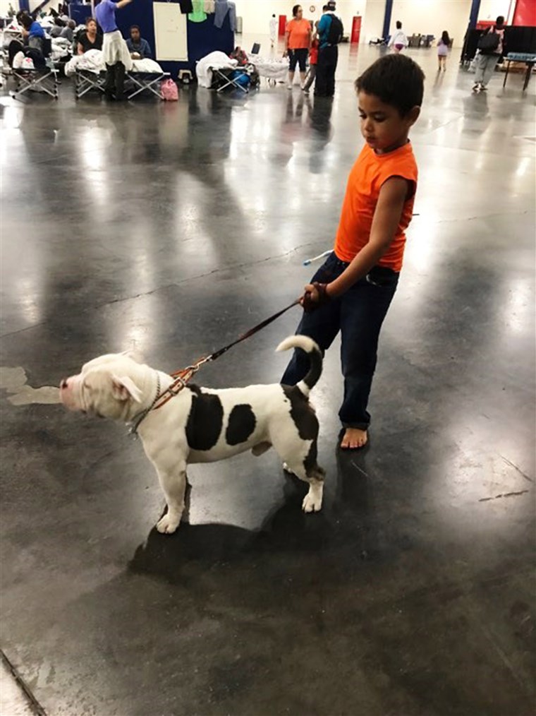 EIN boy and his dog at the George R. Brown Convention Center in Houston.