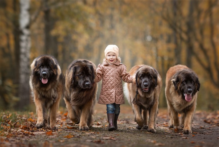 小 Kids and Their Big Dogs
