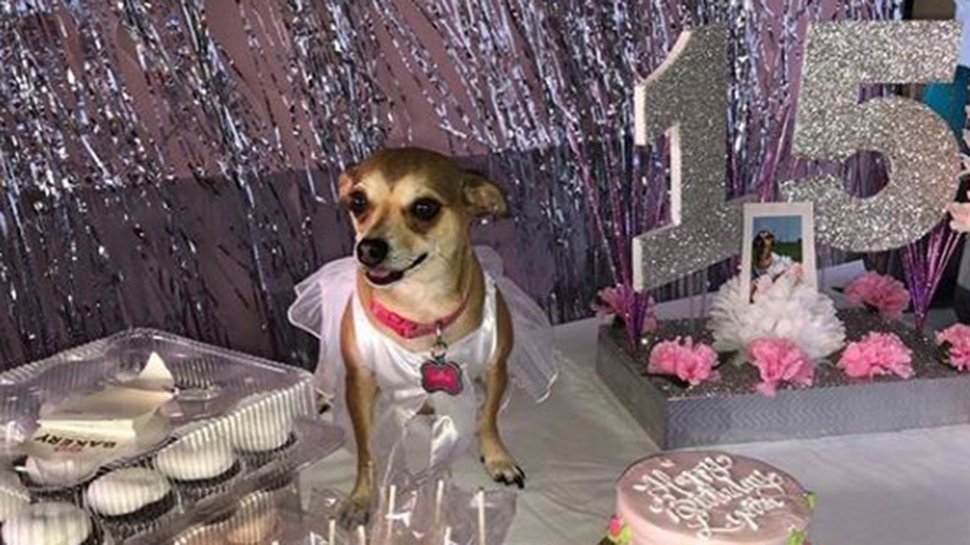 lupita-the-conchita-today-180803-tease_c2a9c8748d42bbf493a2c3649f751a40[1]